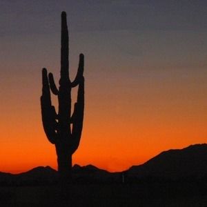 Meet your Posher, Roseann